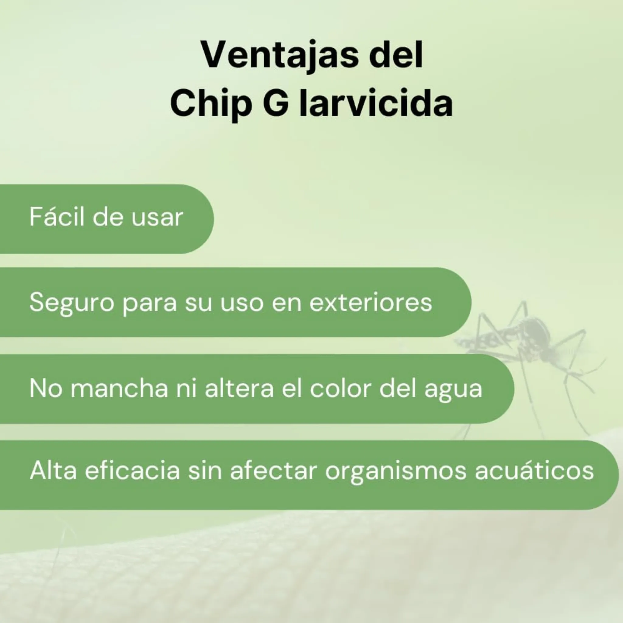 Miniatura 10