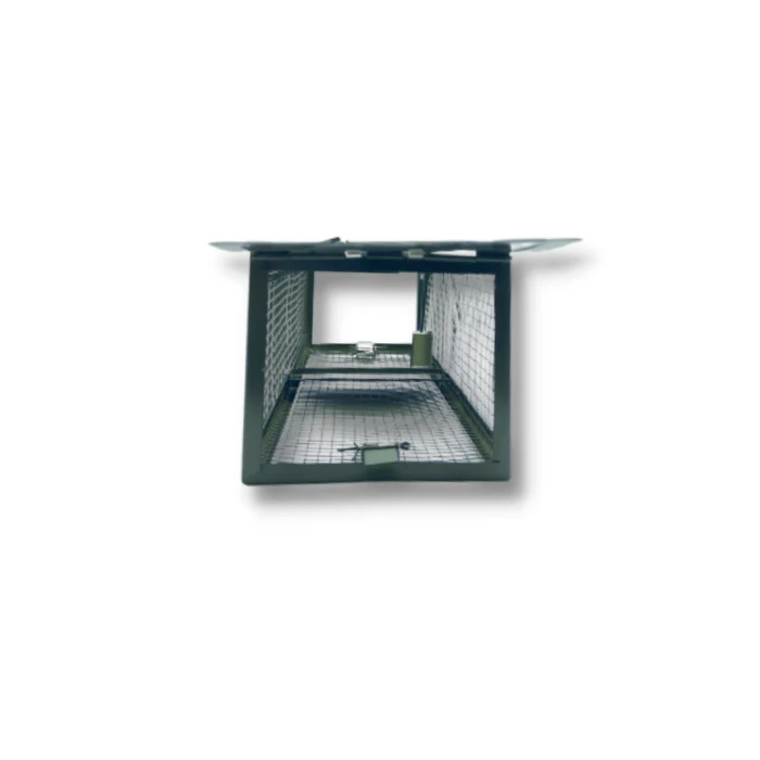 Miniatura 5