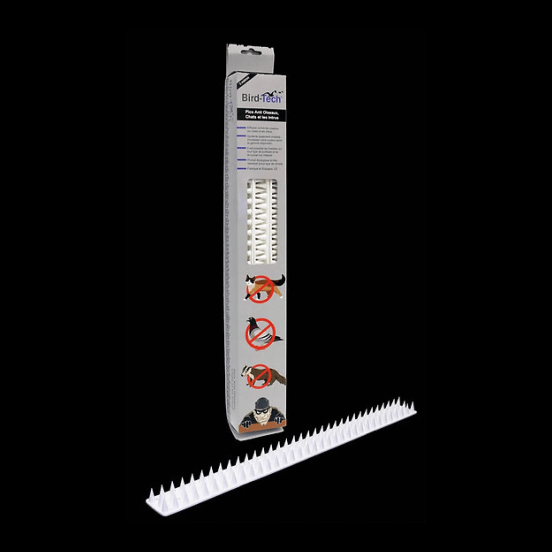 Miniatura 8