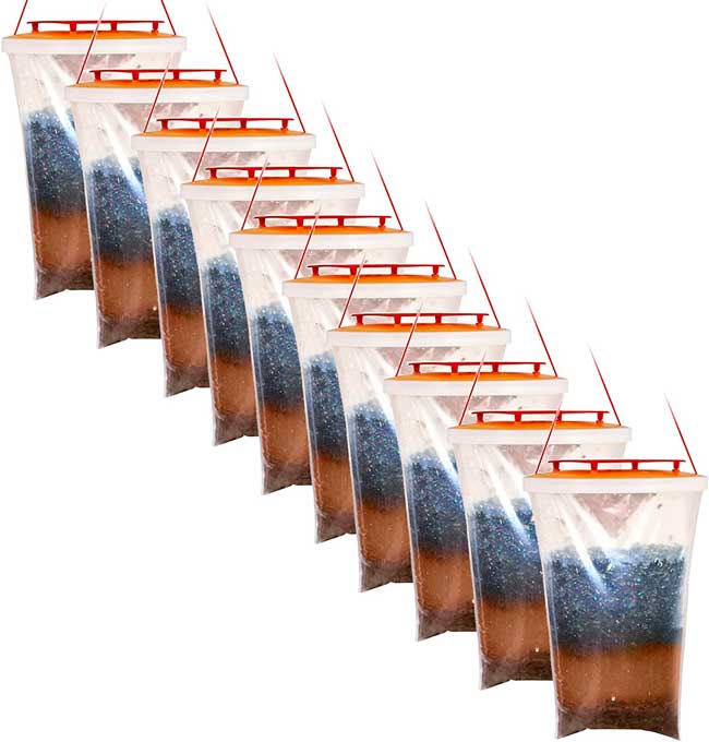 Miniatura 4